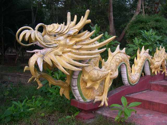 A Thai Dragon