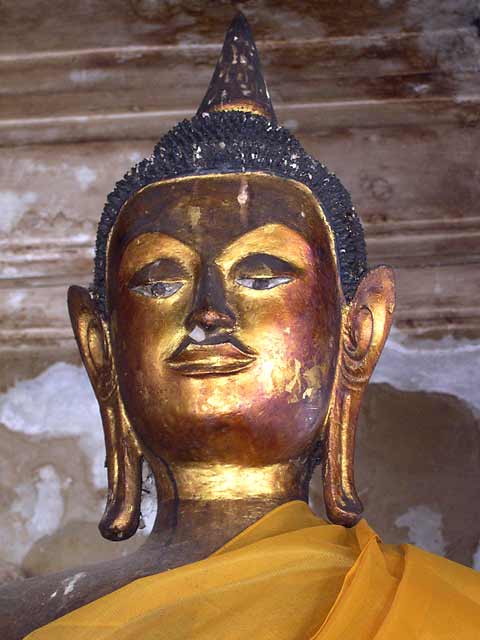 Buddha Head